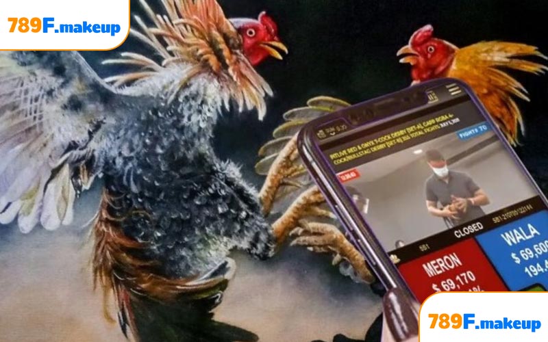 Giới thiệu về sân chơi đá gà 789F 